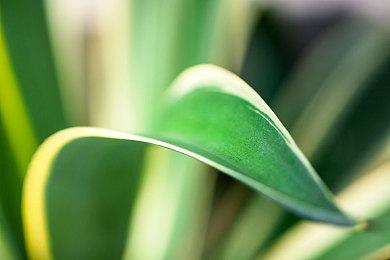 《贪婪之秋2》公布 2024年登陆PC和主机